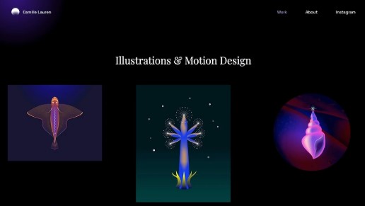 Animations in Website